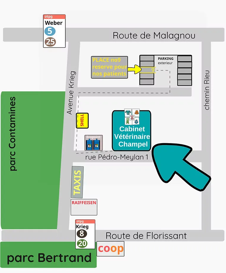 Plan d’accès au cabinet vétérinaire Champel